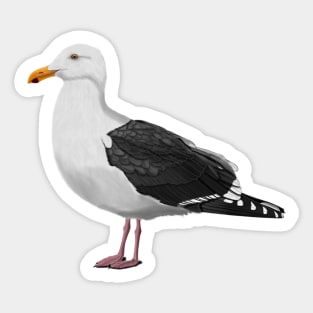 Seagull Bird Watching Birding Ornithologist Gift Sticker